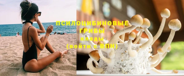 винт Бронницы
